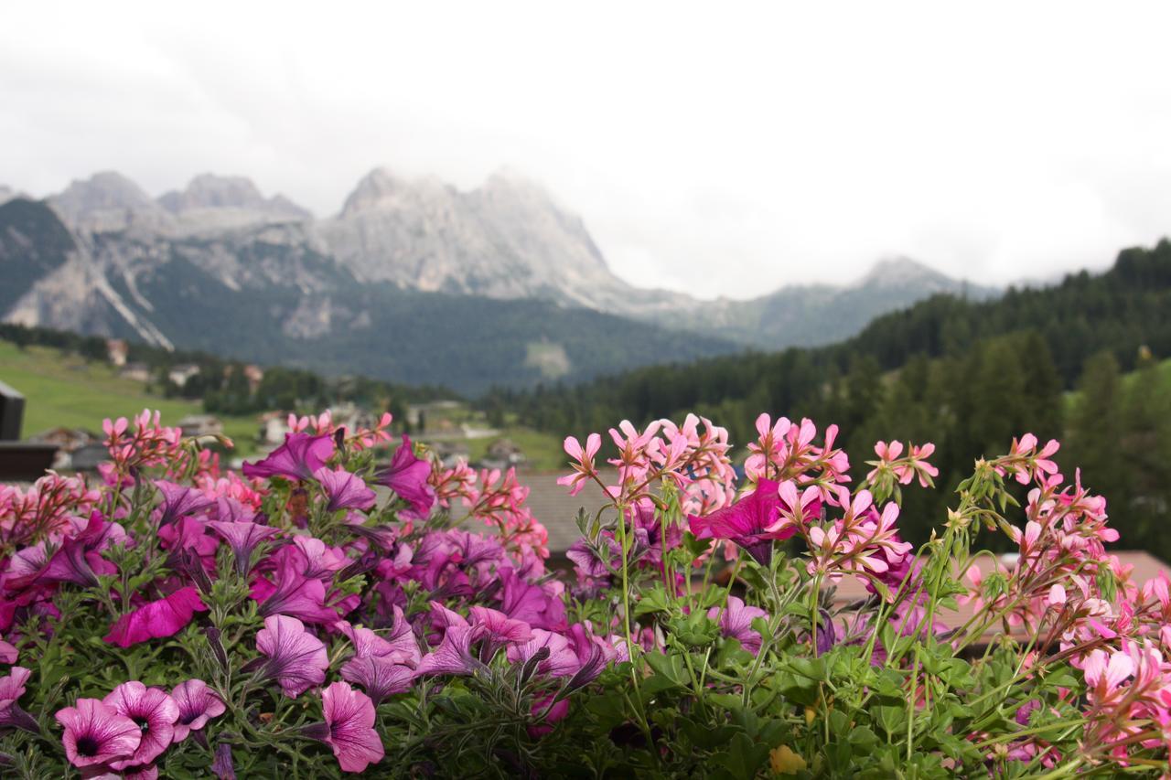 Appart hôtel Vajolet San Cassiano (Badia)