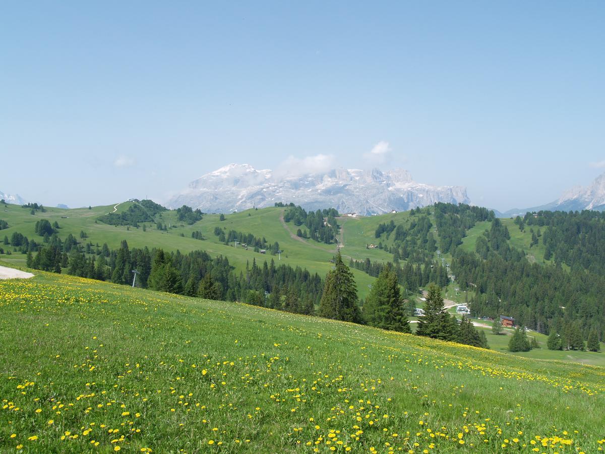 Vajolet * San Cassiano (Badia)