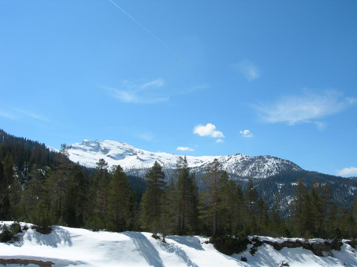 Vajolet